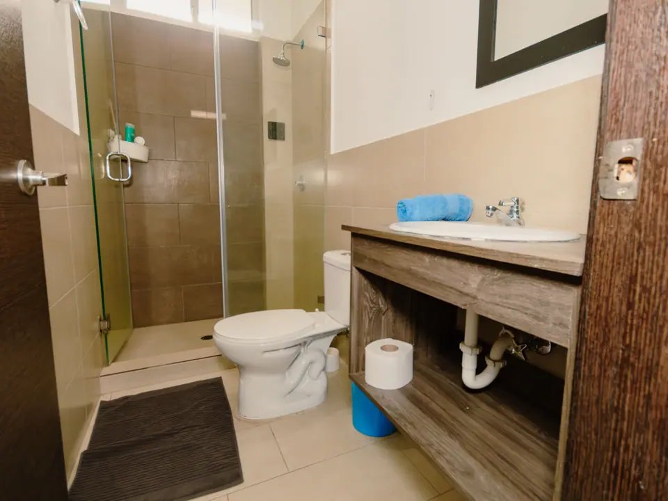 Baño de CASA A12 con ducha tras una mampara de vidrio y lavamanos sobre un mueble de madera.